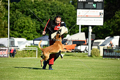 Friedel vom schnellen Falken
