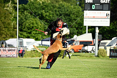 Friedel vom schnellen Falken