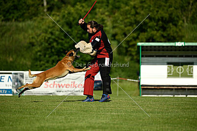 Friedel vom schnellen Falken