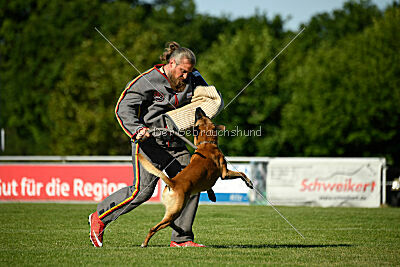 Friedel vom schnellen Falken