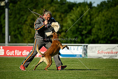 Friedel vom schnellen Falken