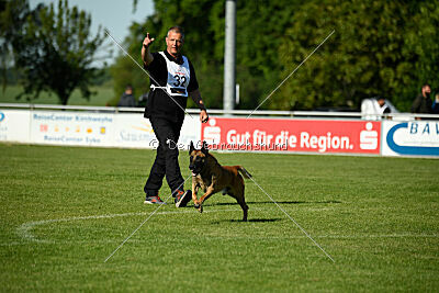 Friedel vom schnellen Falken