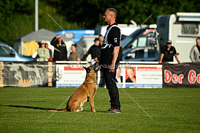 Friedel vom schnellen Falken