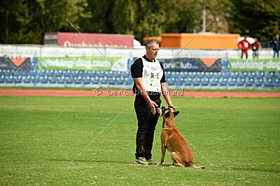 Friedel vom schnellen Falken