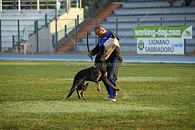 Fritz vom Niederheider Hof