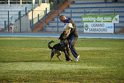 Fritz vom Niederheider Hof