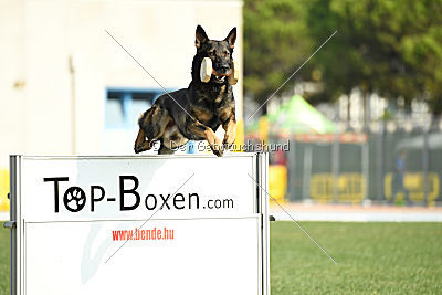 Fritz vom Niederheider Hof