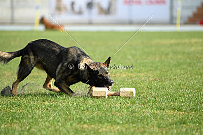 Fritz vom Niederheider Hof