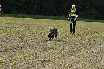 Fritz von den Koschis