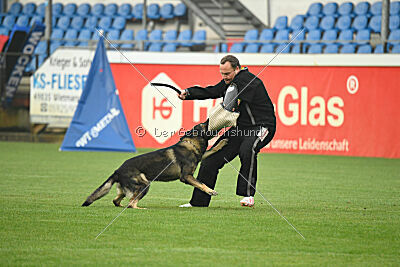 Fritz von den Koschis