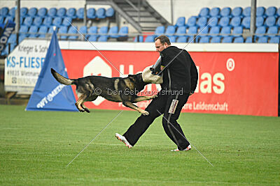 Fritz von den Koschis