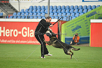 Fritz von den Koschis