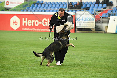 Fritz von den Koschis