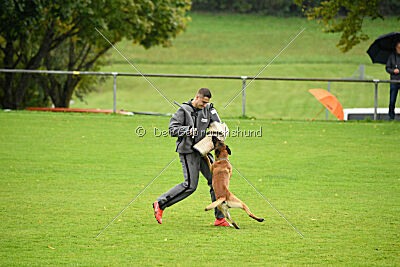 Funk Adlerauge Barganaz 