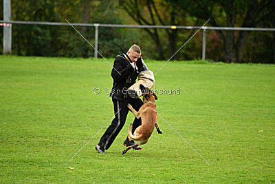 Funk Adlerauge Barganaz 