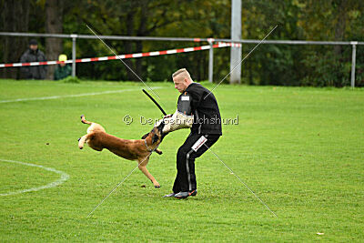 Funk Adlerauge Barganaz 