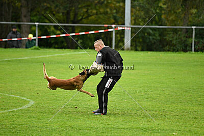 Funk Adlerauge Barganaz 