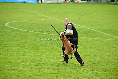 Funk Adlerauge Barganaz 