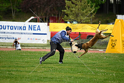 G'Dracarys Force Canina