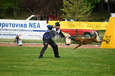 G'Dracarys Force Canina