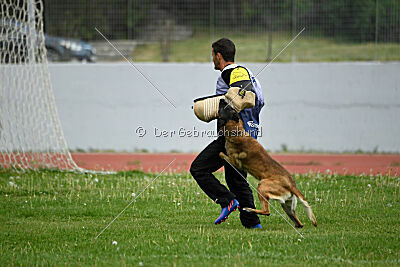 G'Dracarys Force Canina