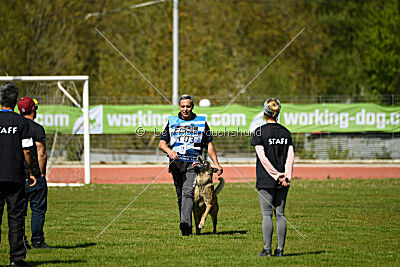 G'Dracarys Force Canina
