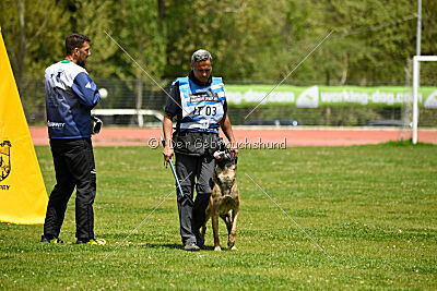 G'Dracarys Force Canina