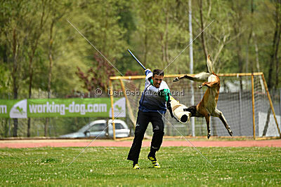 G'Dracarys Force Canina