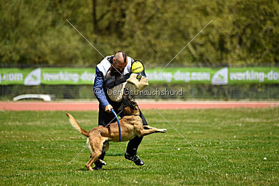 G'Dracarys Force Canina