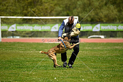 G'Dracarys Force Canina