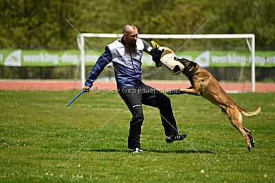 G'Dracarys Force Canina