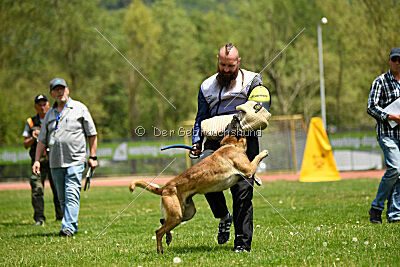 G'Dracarys Force Canina