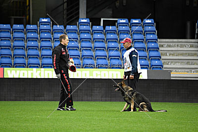Galax de Jardines del Real