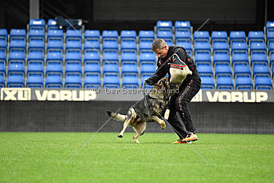 Galax de Jardines del Real