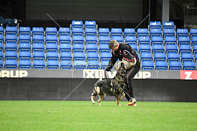 Galax de Jardines del Real