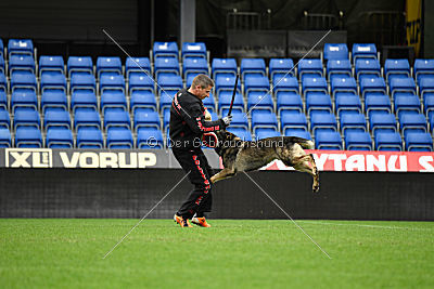 Galax de Jardines del Real