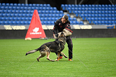 Galax de Jardines del Real