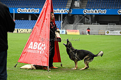 Galax de Jardines del Real