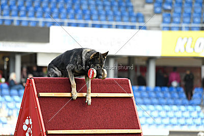 Galax de Jardines del Real