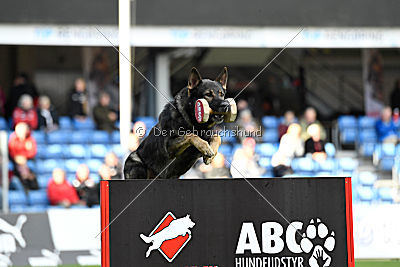 Galax de Jardines del Real