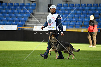 Galax de Jardines del Real