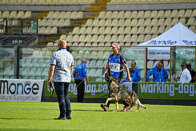 Galax de Jardines del Real