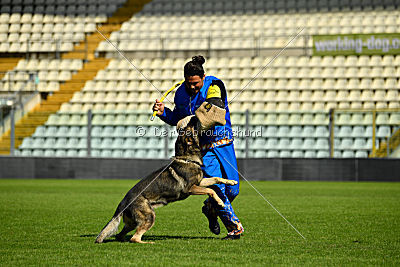 Galax de Jardines del Real