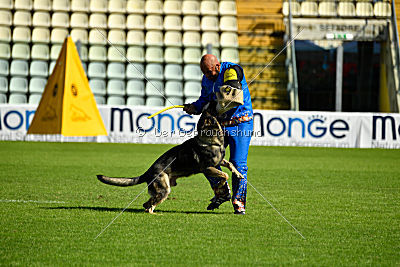 Galax de Jardines del Real