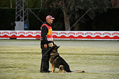 Galax de Jardines del Real