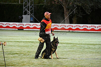 Galax de Jardines del Real