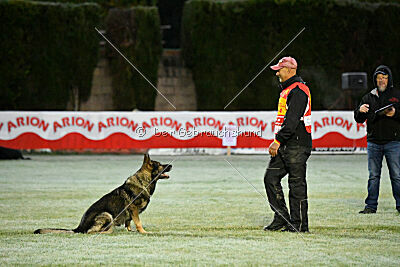 Galax de Jardines del Real
