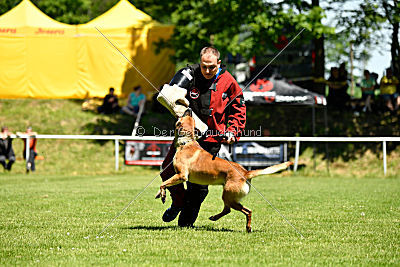 Gangster vom Haus Mecki