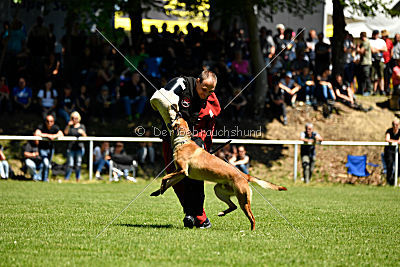 Gangster vom Haus Mecki