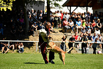 Gangster vom Haus Mecki